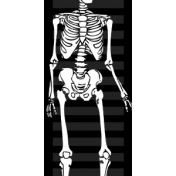 Spook Ribbon Skeleton