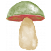 Enchanted- Painted Mushroom