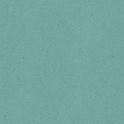 Kitchen Paper Cardboard 19- Green 003