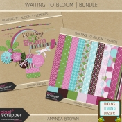 Waiting to Bloom- Bundle