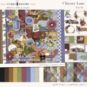 Chicory Lane Bundle