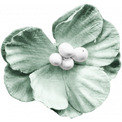 Adelaide Kit: Flower 03