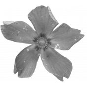 Flower Templates 02 Kit: flower03 (grayscale)