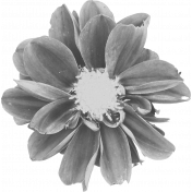 Flower Templates 02 Kit: flower04 (grayscale)