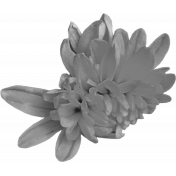 Flower Templates 02 Kit: flower05 (grayscale)