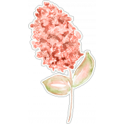 Watercolor Peach Flower Sticker 