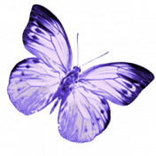 robinsampson_lilac_aqua_mini_element_butterfly_1