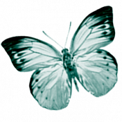robinsampson_lilac_aqua_mini_element_butterfly_2