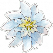 Watercolor Flower Sticker