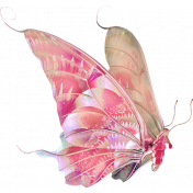 Butterfly Names of God Add-On