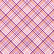 Joy Plaid Paper 2