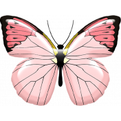 Truth Pink Butterfly