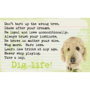 Dig Life Goldendoodle 3x5 Card