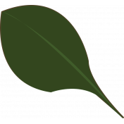 organic_leaf4