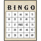 hisstory_vintage bingo Card