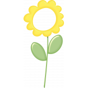 Yellow Flower Frame