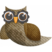 Brown Owl