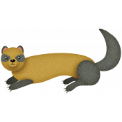 Ferret 