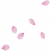 Pink Flower Scatter (01)