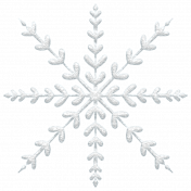 Snowflake 22