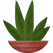 Prickly Plant 01