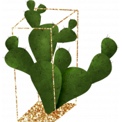 Prickly Plant 15