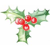 Watercolor Christmas Holly