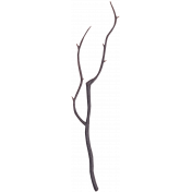 Wood Branch 2