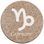 Capricorn Coaster 