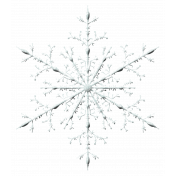 Snowflake 6