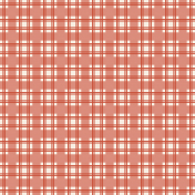 Aug 2022 Rust & Cream Plaid