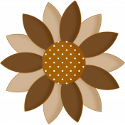 Star Flower