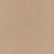 Kraft Seamless Paper 05