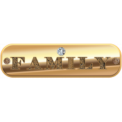 Amethyst Gold Family Tag