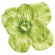 No Tricks, Just Treats Add-On- Green Vintage Flower