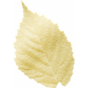Gold Foil Leaf 06