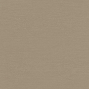 Shine- Solid Paper- Brown