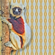 Lemur Paper