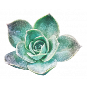 Fresh Start Elements- Succulent