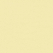 Fresh Start Cardstock Solid Papers- Paper 10