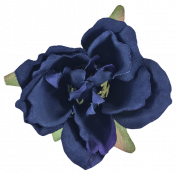 Cozy Kitchen Navy Blue Silk Flower