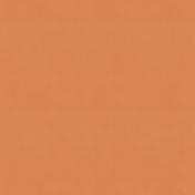 Bright Days Extra Papers- Solid Orange