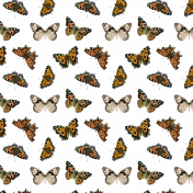 Transparent Butterflies Pattern 01