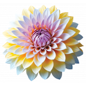 Flower Clipart 1