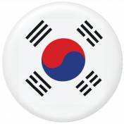 South Korea Flag Flair Brad