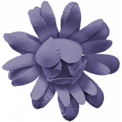 Purple Flower Endures