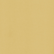 Yellow Ann Solid Paper