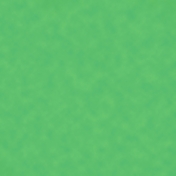 Green Patterned Paper