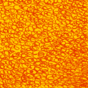 Orange Shirt Day- Orange Marker Paper