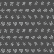 Snowflake Overlay 4